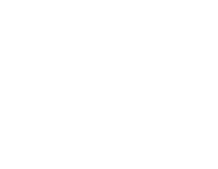 CSS Winner Star award
